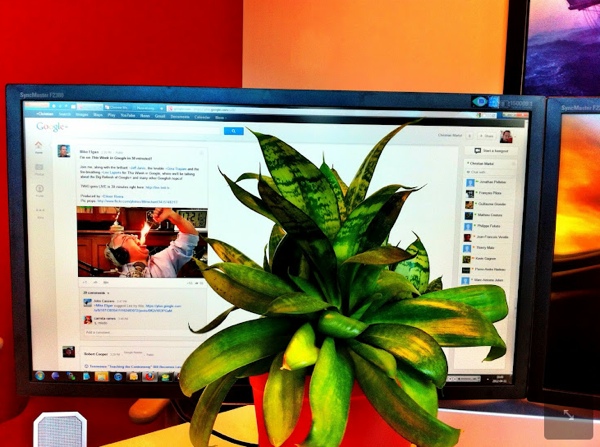 Pretjerano korištenje Google+ whitespacea :) (Snimio Christian Martel)