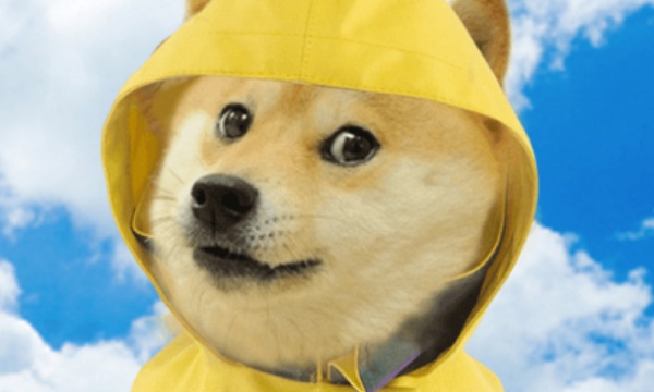 Doge Weather