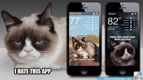 Weather Kitty