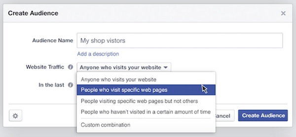 Facebok audience