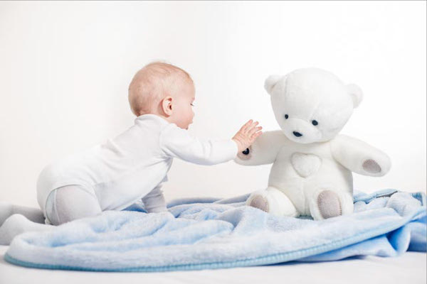 Teddy