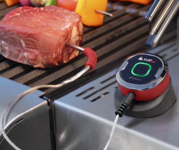 iDevices iGrill Mini
