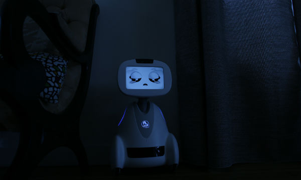Buddy-Guard_1